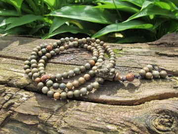 Bosfoto groene dragon mala