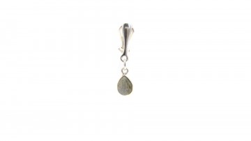 Clipoorbellen labradoriet