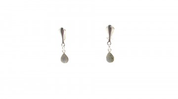 Clipoorbellen labradoriet