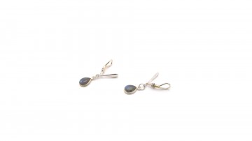 Clipoorbellen labradoriet