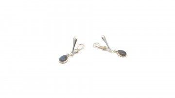 Clipoorbellen labradoriet