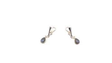 Clipoorbellen labradoriet