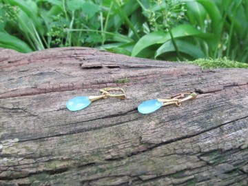 Edelsteen oorbellen aquamarijn onyx bosfoto