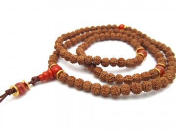 Rudrakshamala koraal